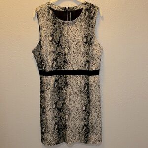 Walter Baker Designer Black Snake Print Sheath Dress Women’s Sz Large